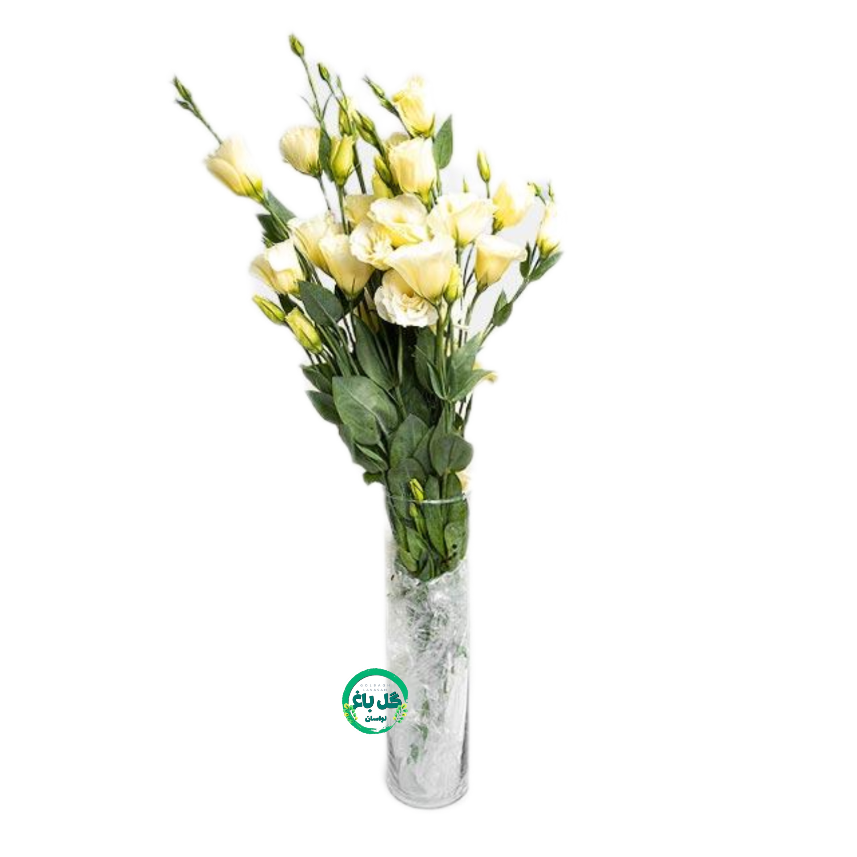 دسته گل لیسیانتوس نباتی - ۲ شاخه