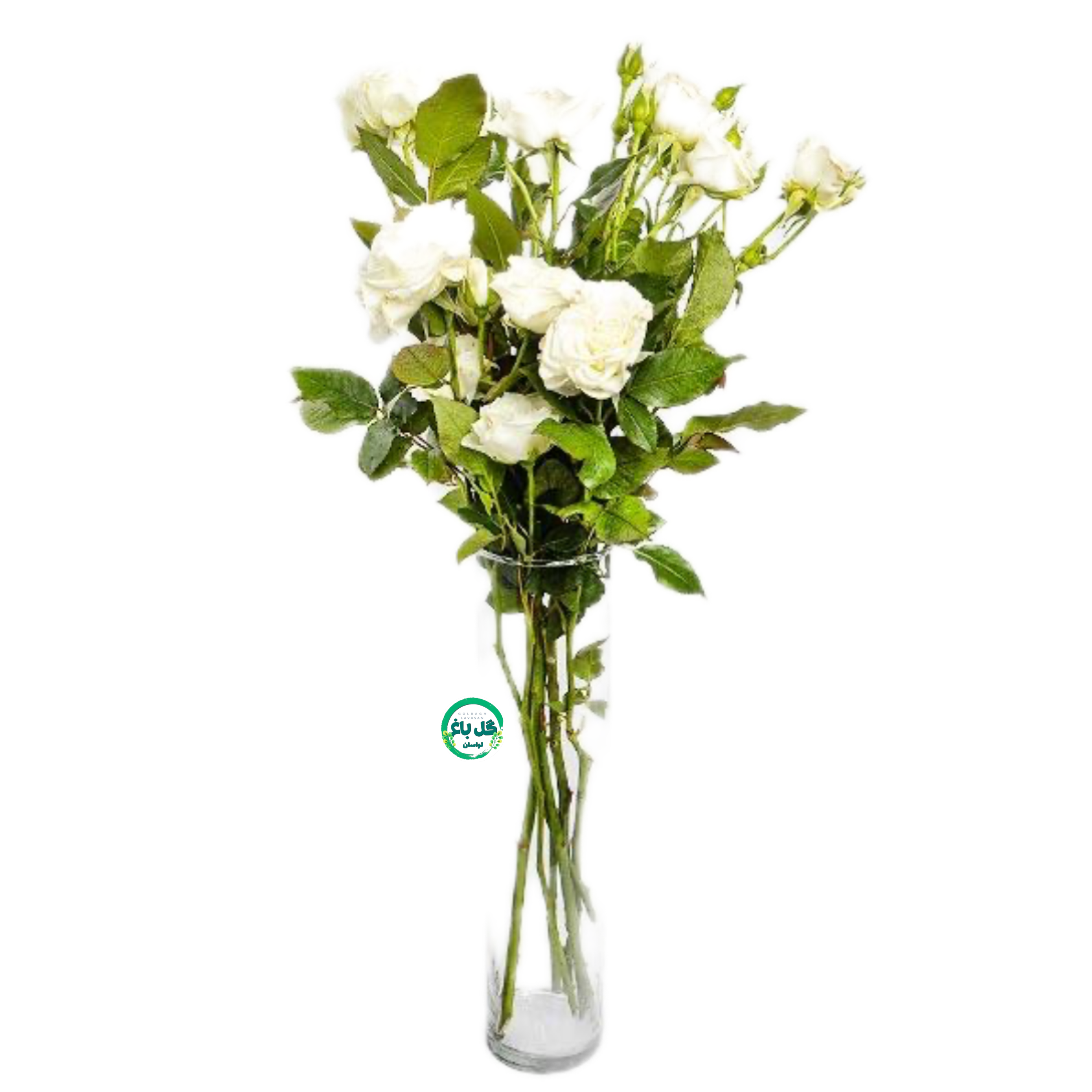 دسته گل رز مینیاتوری سفید - ۴ شاخه
