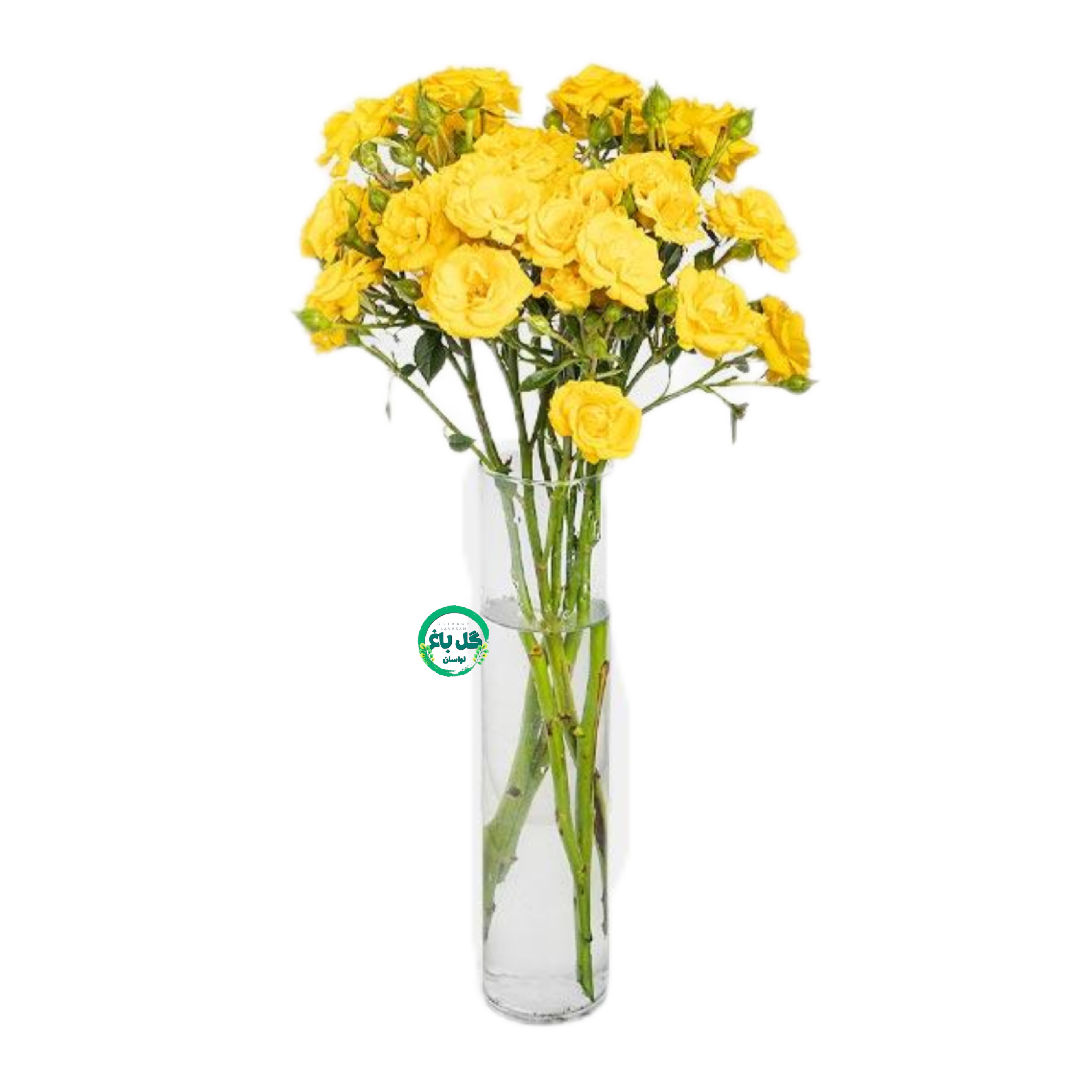 دسته گل رز مینیاتوری زرد - ۴ شاخه
